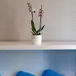 Carme Hotel